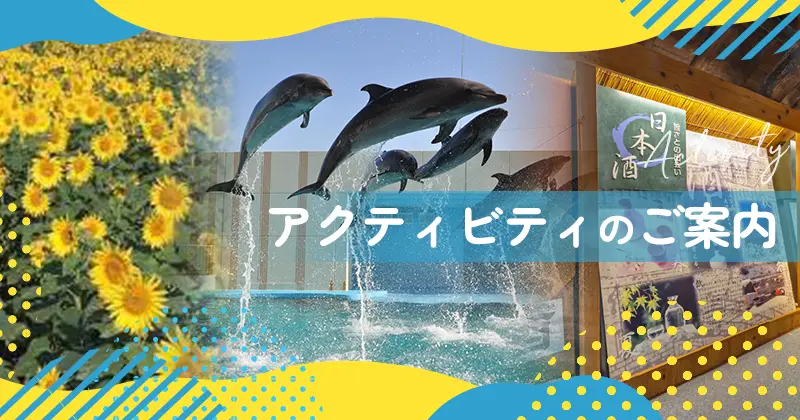 アクティビティのご案内
