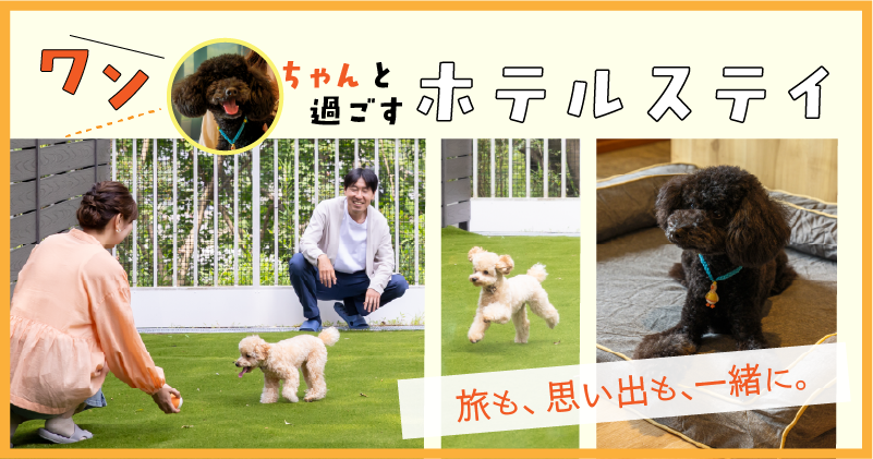 おトクな前売り入館券