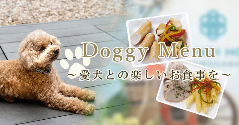 愛犬との楽しいお食事を